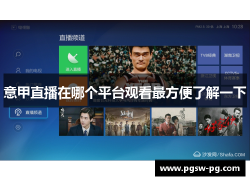 意甲直播在哪个平台观看最方便了解一下